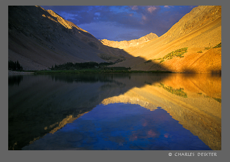 Copyright � 2009 by Charles Dexter. All rights reserved. Copying or saving any part of this web site is strictly prohibited. Any such action is a violation of U.S. and international copyright law.