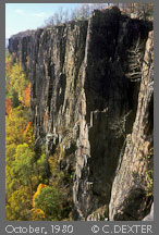 Copyright © 2009 by Charles Dexter. All rights reserved.