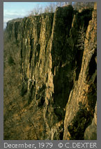 Copyright © 2009 by Charles Dexter. All rights reserved.