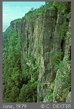 Copyright © 2009 by Charles Dexter. All rights reserved.