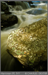 Copyright © 2009 by Charles Dexter. All rights reserved.