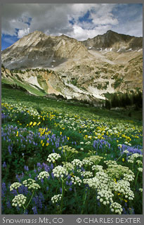 Copyright © 2009 by Charles Dexter. All rights reserved.