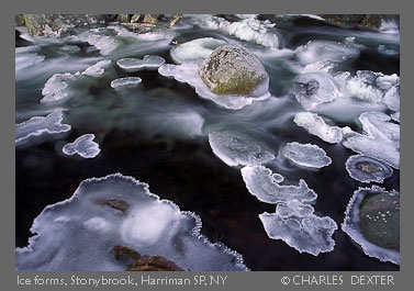 Copyright © 2009 by Charles Dexter. All rights reserved.