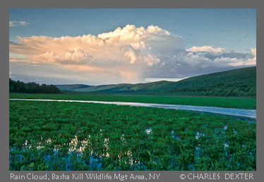 Copyright © 2009 by Charles Dexter. All rights reserved.