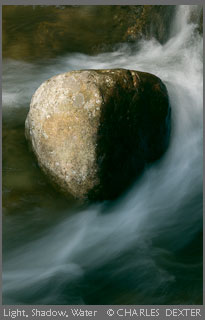 Copyright &copy; 2009 by Charles Dexter. All rights reserved. Copying or saving any part of this web site without written permission of Charles Dexter is strictly prohibited. Any such use is a violation of U.S. and international copyright law.