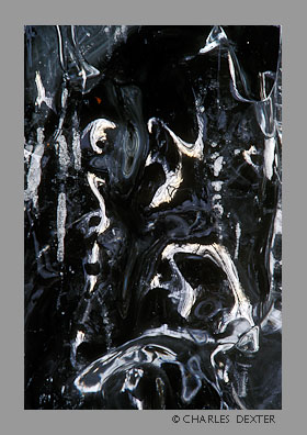 image 0105 Copyright &copy; 2009 by Charles Dexter. All rights reserved