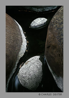 image 0202 Copyright &copy; 2009 by Charles Dexter. All rights reserved