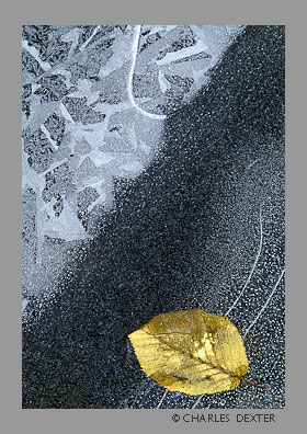 image 0203 Copyright &copy; 2009 by Charles Dexter. All rights reserved