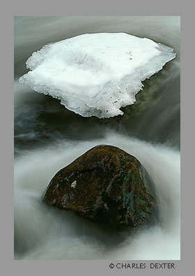 image 0208 Copyright &copy; 2009 by Charles Dexter. All rights reserved