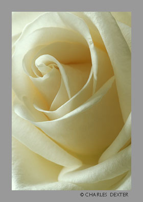 image 0301 Copyright &copy; 2009 by Charles Dexter. All rights reserved