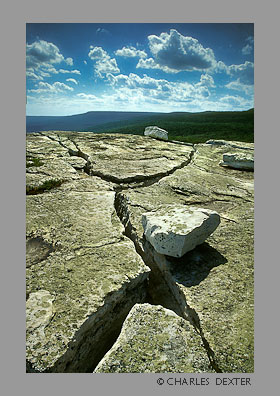 image 0502 Copyright &copy; 2009 by Charles Dexter. All rights reserved