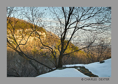 image 0503 Copyright &copy; 2009 by Charles Dexter. All rights reserved