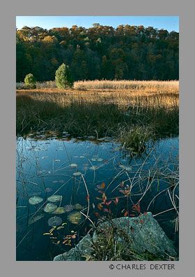 0504 Copyright &copy; 2009 by Charles Dexter. All rights reserved