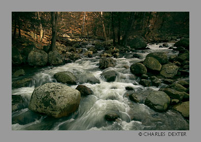 image 0505 Copyright &copy; 2009 by Charles Dexter. All rights reserved