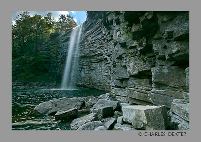 image 0508 Copyright &copy; 2009 by Charles Dexter. All rights reserved