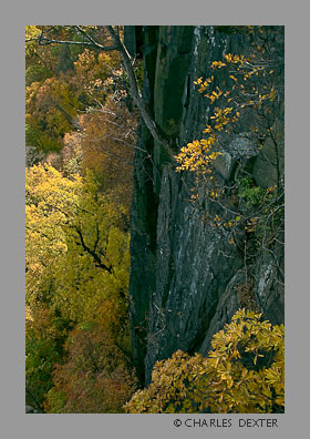 image 0510 Copyright &copy; 2009 by Charles Dexter. All rights reserved