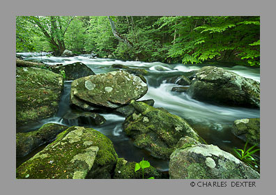 image 0511 Copyright &copy; 2009 by Charles Dexter. All rights reserved