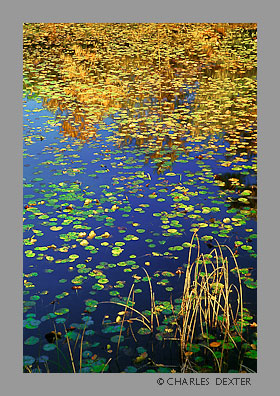 image 0604 Copyright &copy; 2009 by Charles Dexter. All rights reserved