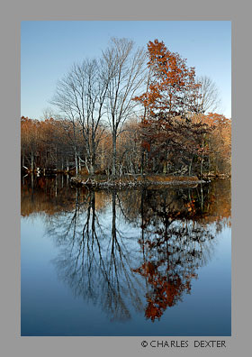 image 0605 Copyright &copy; 2009 by Charles Dexter. All rights reserved