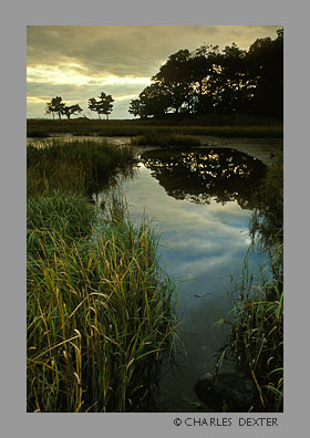 image 0608 Copyright &copy; 2009 by Charles Dexter. All rights reserved