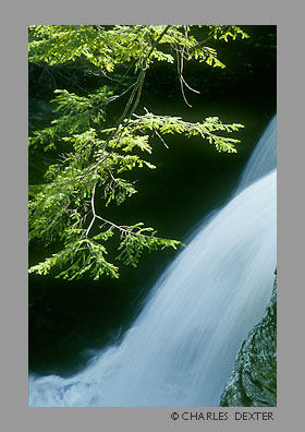 image 0702 Copyright &copy; 2009 by Charles Dexter. All rights reserved