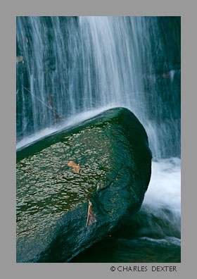 image 0703 Copyright &copy; 2009 by Charles Dexter. All rights reserved