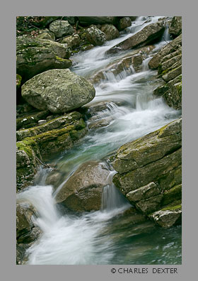 image 0706 Copyright &copy; 2009 by Charles Dexter. All rights reserved