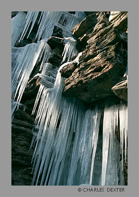 image 0708 Copyright &copy; 2009 by Charles Dexter. All rights reserved