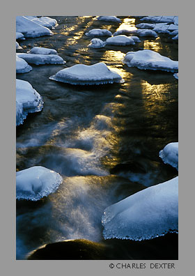 image 0712 Copyright &copy; 2009 by Charles Dexter. All rights reserved