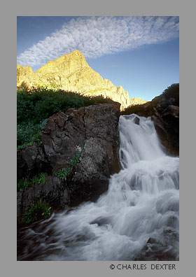 image 0805 Copyright &copy; 2009 by Charles Dexter. All rights reserved