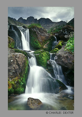 image 0808 Copyright &copy; 2009 by Charles Dexter. All rights reserved