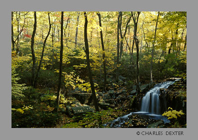 image 0810 Copyright &copy; 2009 by Charles Dexter. All rights reserved