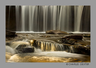 image 0811 Copyright &copy; 2009 by Charles Dexter. All rights reserved