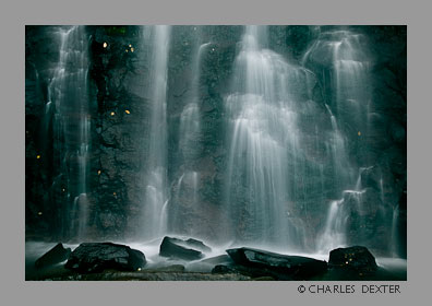 image 0812 Copyright &copy; 2009 by Charles Dexter. All rights reserved