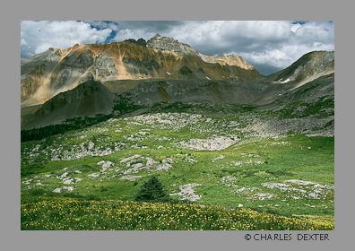 image 0904 Copyright &copy; 2009 by Charles Dexter. All rights reserved