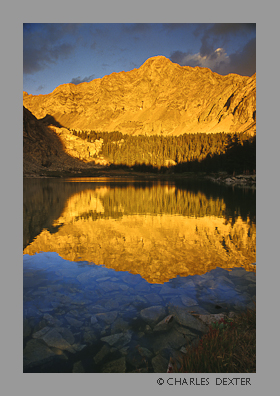 image 0905 Copyright &copy; 2009 by Charles Dexter. All rights reserved