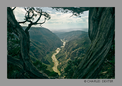 image 0909 Copyright &copy; 2009 by Charles Dexter. All rights reserved