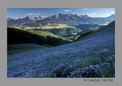 image 0910 Copyright &copy; 2009 by Charles Dexter. All rights reserved