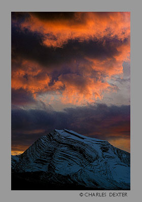 image SP-01 Copyright &copy; 2009 by Charles Dexter. All rights reserved