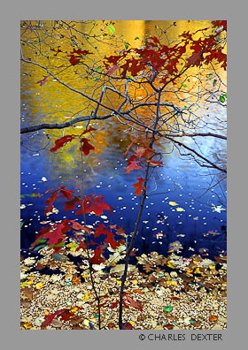 image SP-03 Copyright &copy; 2009 by Charles Dexter. All rights reserved