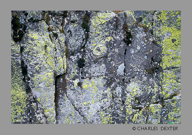 Image SP-09 Copyright &copy; 2009 by Charles Dexter. All rights reserved