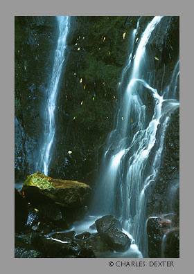 image SP-10 Copyright &copy; 2009 by Charles Dexter. All rights reserved