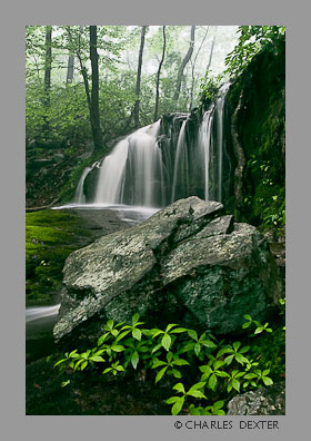 image SP-14 Copyright &copy; 2009 by Charles Dexter. All rights reserved