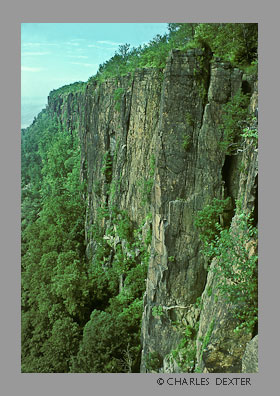 image SP-23 Copyright &copy; 2009 by Charles Dexter. All rights reserved