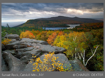 Copyright &copy; 2009 by Charles Dexter. All rights reserved.