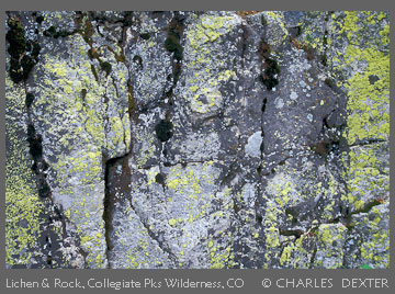 Copyright &copy; 2009 by Charles Dexter. All rights reserved.