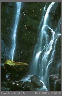 Copyright &copy; 2009 by Charles Dexter. All rights reserved.