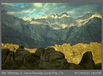 Copyright &copy; 2009 by Charles Dexter. All rights reserved.